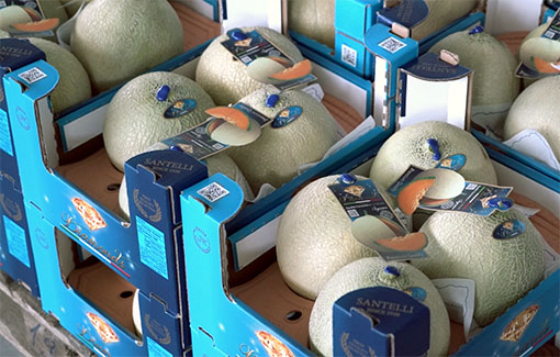 Sorted product Sorted product