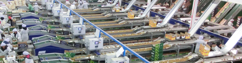 Unitec launches its Packaging Division at Macfrut