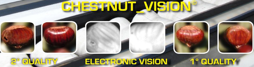 chestnut_vision2-704x226