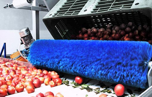 self-adjusting emptying systems dedicated to emptying of each and every fruit self-adjusting emptying systems dedicated to emptying of each and every fruit