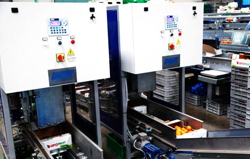 Crates fillers