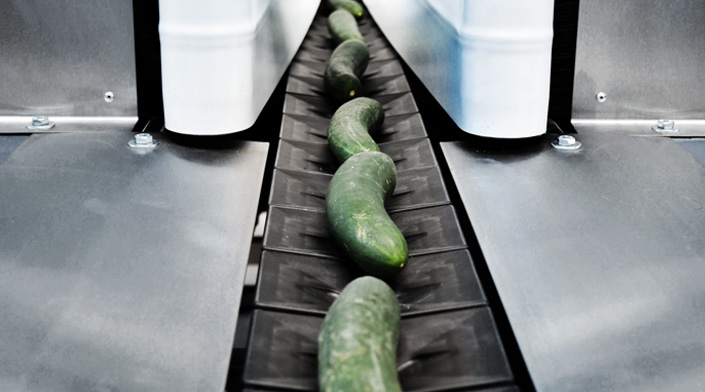 https://en.unitec-group.com/images/inglese/vegetables-line-sorting-cucumbers-1.jpg