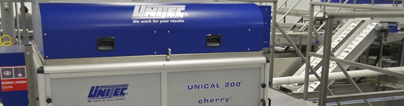 northern fruit cherry sorting