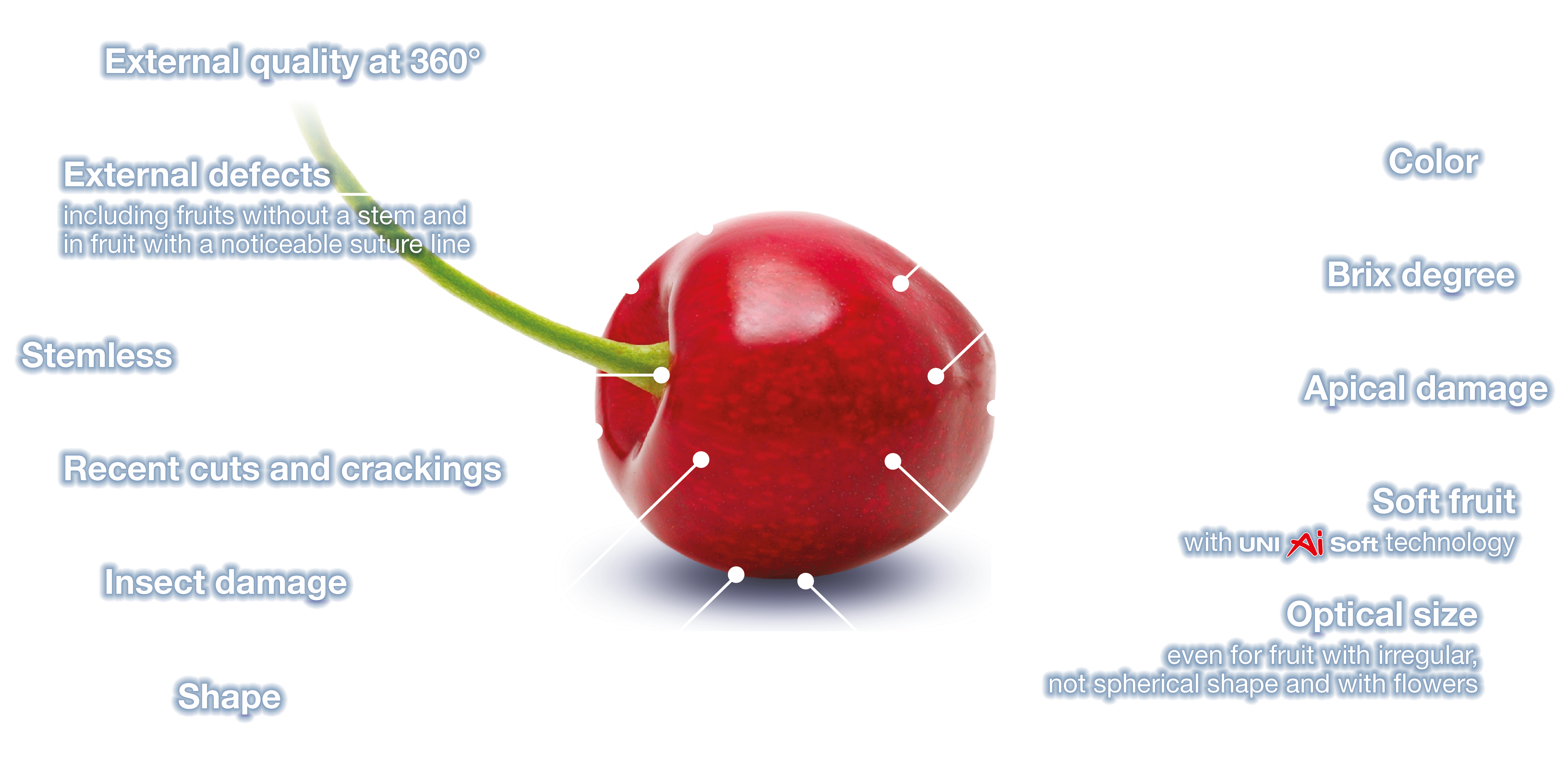 Unitec cherry parameters in English