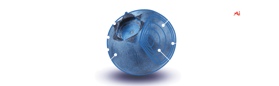 UNITEC Blueberry parameters