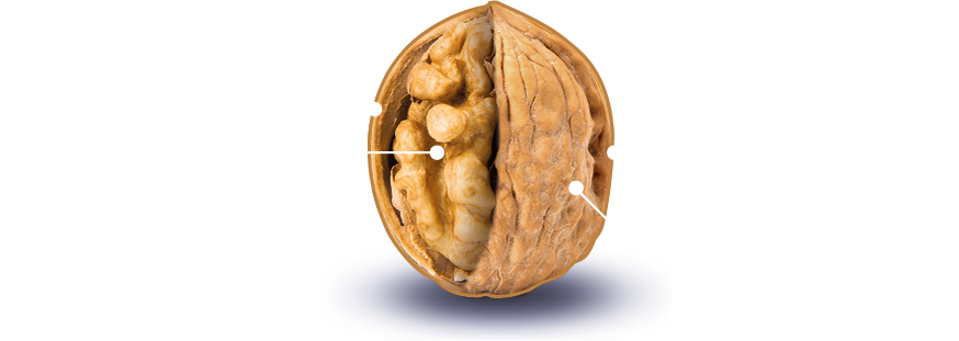 UNITEC walnut parameters chart